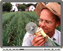 video_icon.png