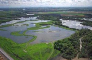 bay delta estuary